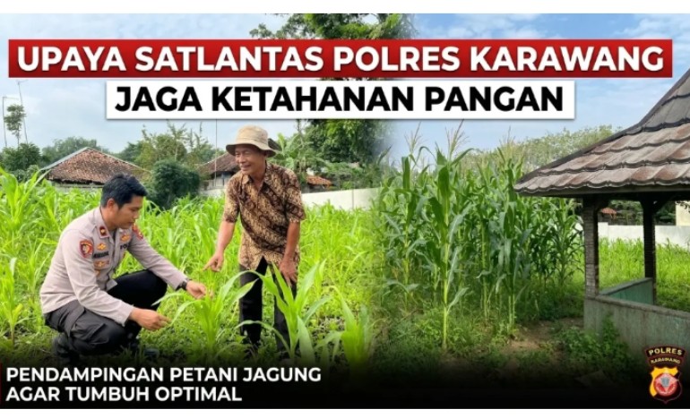 Upaya Satlantas Polres Karawang Jaga Pertumbuhan Tanaman Jagung agar Optimal