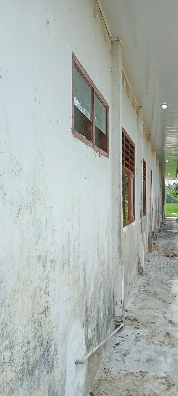 Rp375 Juta untuk Rehabilitasi SDN Sindangsari III Disorot: Diduga Tak Sesuai RAB, Pengawas Diminta Turun Tangan